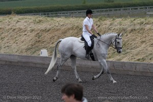 ISIS Dressage Challenge 2008